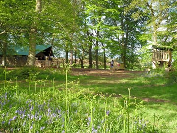 The Camp set in its own 8 acre woodland (added by manager 10 Mar 2015)