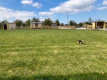 Grassy pitches