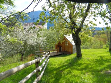 A cabin in the orchard (added by manager 23 Apr 2017)