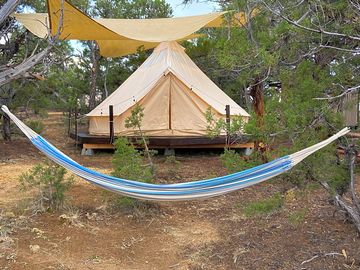 Each Campsite has a Hammock