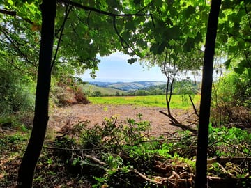 View from campsite woods (added by manager 22 Feb 2021)