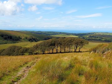 Above Saddle Gate, looking down on West Ilkerton a couple of miles away - a lovely walk (added by manager 20 Mar 2021)