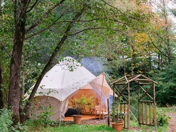 Tents among the trees