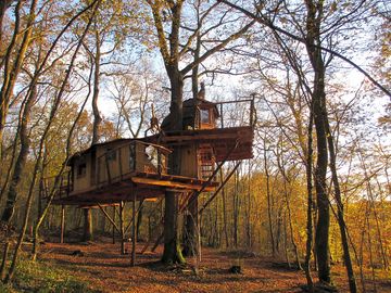 Family-sized treehouse (added by manager 11 Apr 2017)