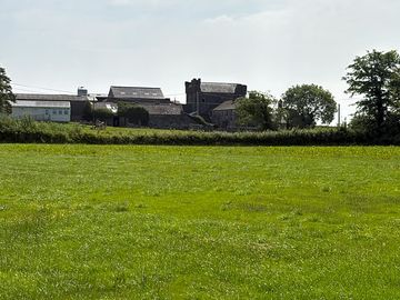 Site on a working dairy farm