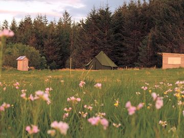 Fall asleep in the beautiful bell tent set within in a natural meadow