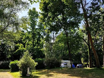 Pitches among the trees
