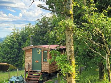 Hut next to woods