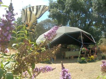 Kitchen/entertainment dome (with swallowtail) (added by manager 08 Nov 2013)