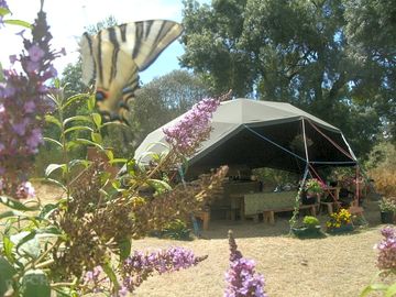 Kitchen/entertainment dome
