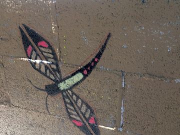 Dragonfly art