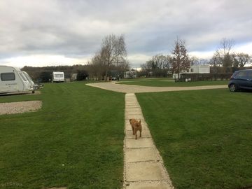 Pitching field