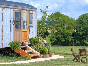 Honey Bee shepherd's hut