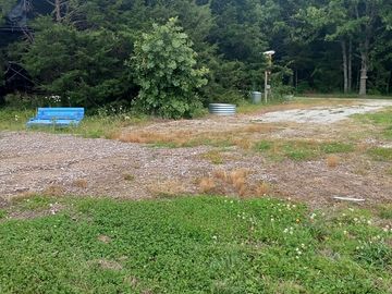 Berry farm next to the sandhouse and shower