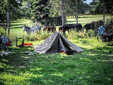 Pitch next to the horses
