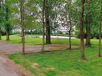 Pitches by the trees