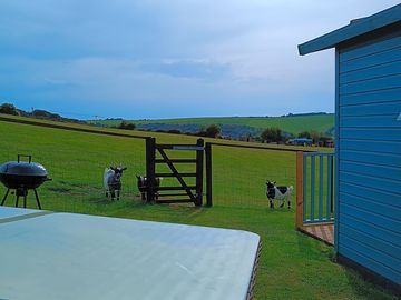 View across the fields from the garden area, with tilly, hattie and gracie looking on