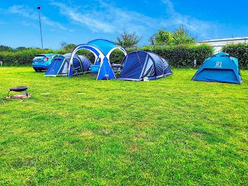 Medium grass pitch with electric hook-up