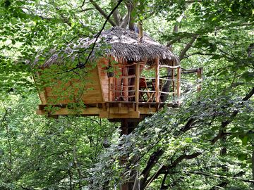 Outside Berceau treehouse