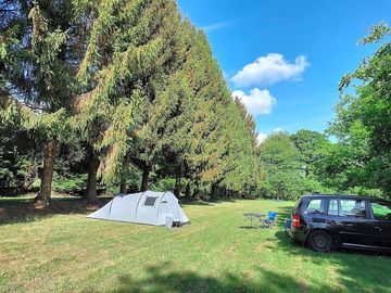 Tree-sheltered pitches