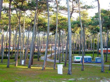 Camping area with trees for shade