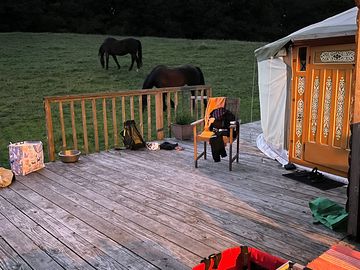 From the deck
