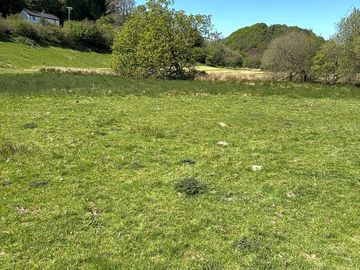 Camping field