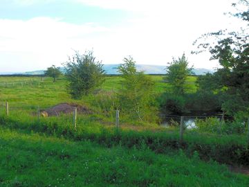 Non-electric grass tent pitch