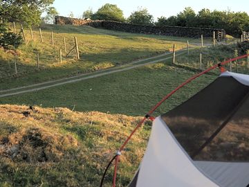 Camping pitches