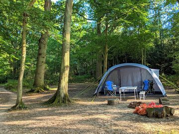 Secluded forest pitch