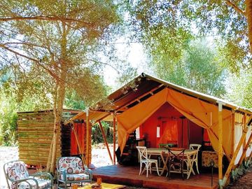 Olive grove exterior