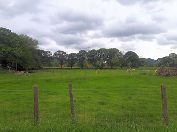View of the site from the footpath