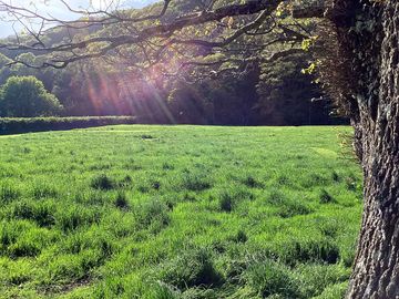 View over the field