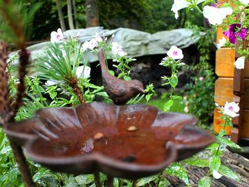 Well-maintained gardens