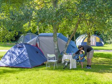 Grass pitches