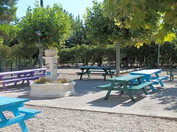 Picnic benches