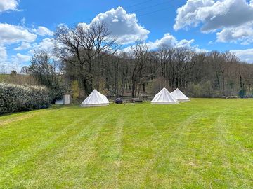 The site