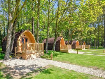 Pods under trees