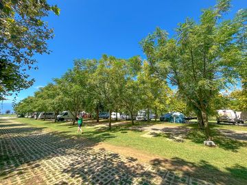 Camping pitches