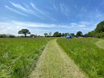 Driving tracks through the fields