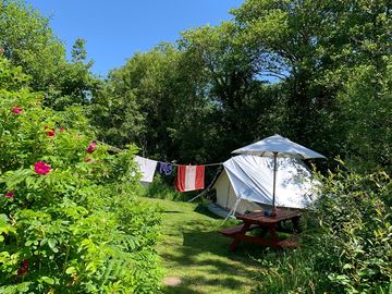Hanging washing in line