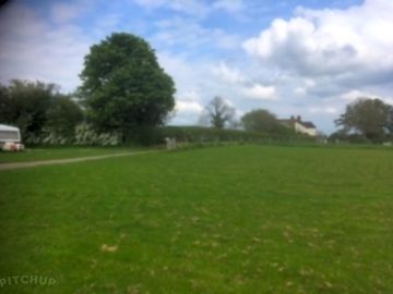 Trees around the site