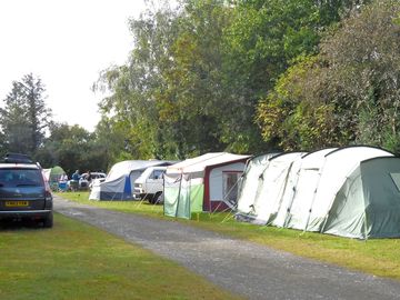 Spacious grass pitches