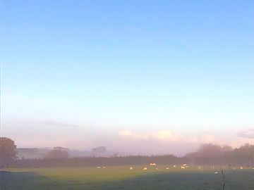 The site is accessed across a field
