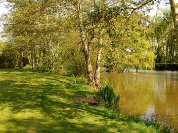 Lakeside rambles on site