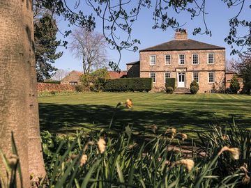 The grounds