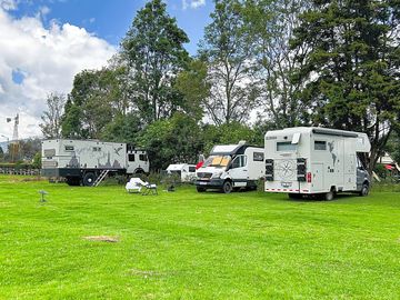 Grass pitches shaded by trees