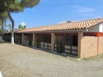 View of the bungalows