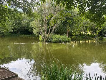 Fishing area