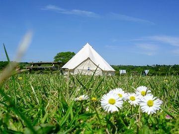 Fancy pitching your tent in the meadow?